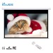 projection screen projector screen electric screen motorized screen