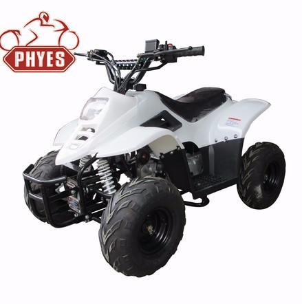 chinese mini quad 49cc