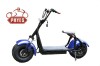 phyes electric scooter 1000w citycoco scooter