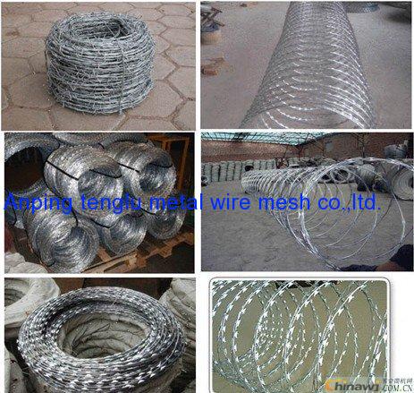 Good quality whole sale price razor wire 