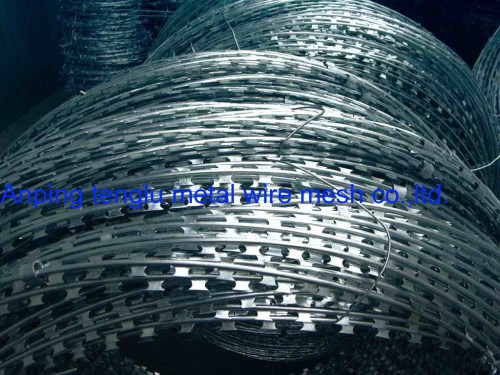 Concertina factory direct sell razor wire with galvanized material