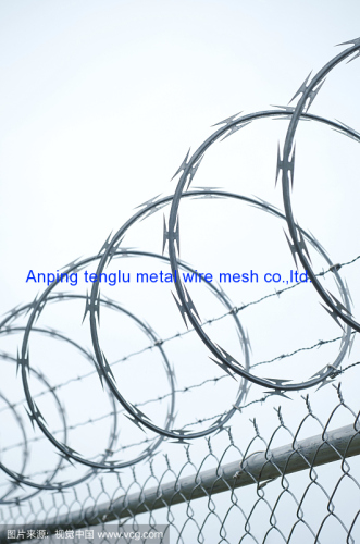 Good quality whole sale price razor wire