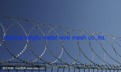 Concertina factory direct sell razor wire with galvanized material