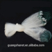 Produce various colors and sizes fishing float and fishing net float