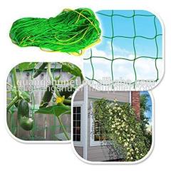 100 M *2 M Plant Climbing Net Climbing Plant Support Net Plant Support Net Cucumber Support Net