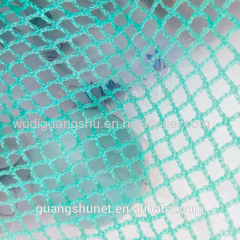 Chinese Factories Make Anti Hail Net/Hail Net/Apple Tree Anti Hail Net/Anti Hail Net for Apple Tree