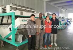 Medium capacity 4 ton per hour CCD rice. grain.cereal plastic color sorter made in China with best price 1 year warranty