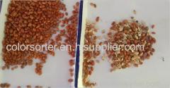 Brand new high quality advanced peanuts color sorting machine