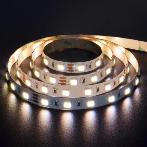 2 in 1 5050 LED light strips CCT Tunable 60LED