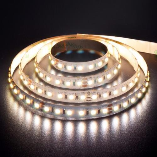 2 in 1 3528 LED strip lights CCT Tunable 120LED/M