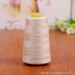Wholesale Spun Polyester 100% Sewing Thread 40/2 30/2 20/2 For PP Woven Bag Elastic Thread Factory Supply in China