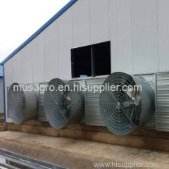 High quality automatic pig farm design floor feeding system equipment