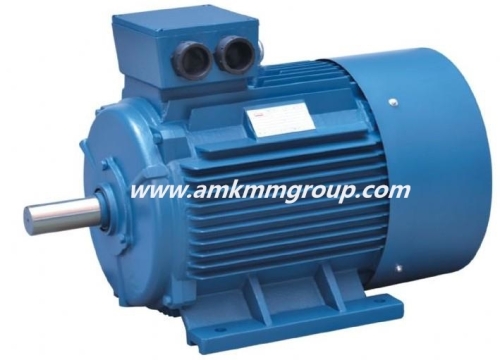 Electric Motor for industry