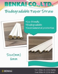 Biodegradable disposable paper straw