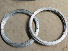 High Quality Factory Supply BWG21 Electro Galvanized Iron Wire