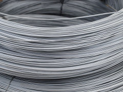 Electro Galvanized Iron Wire for Saudi Arabia Market