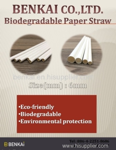 Eco-Friendly Drinking Paper Straws