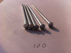 Polished Common Iron Nail