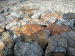 gabion box chicken wire fencing mesh