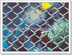 the Chain Link Fence