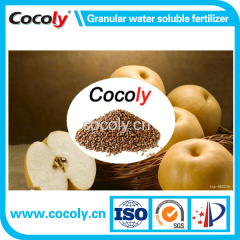 Cocoly complete nutritional water soluble fertilizer in granular shape