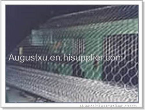 the Hexagonal wire mesh