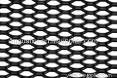 the Perforated Metal Mesh