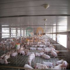pig farm pig crate pig stall design floor feeding system equipment