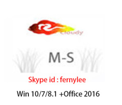 Genuine MS Win10 Pro OEM Coa Sticker 100% Online / License key Wholesale