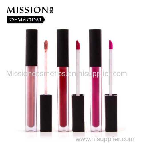 Wholesale online sale custom logo ever lasting beauty lip gloss makeup