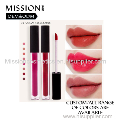 Wholesale online sale custom logo ever lasting beauty lip gloss makeup