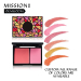 OEM 2 Colors Waterproof Smooth Blusher Palette Cosmetics