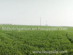 Drip Irrigation Drip Irrigation