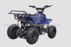 110CC ATV for sale