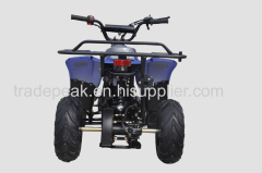 110CC ATV for sale