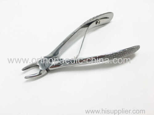 Dental Extraction Forceps for veterinary use 2 size available