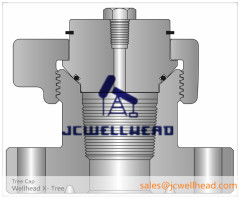 API 6A Flanged X-Max Tree Cap