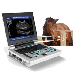 Veterinary Black & white laptop ultrasound diagnostic equipment