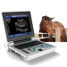 Veterinary Black & white laptop ultrasound diagnostic equipment