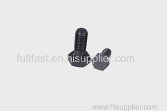 ASTM A307 HEX BOLTS