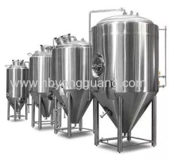 high quality Fermenter tank