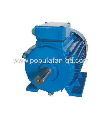 Three phase induction motor