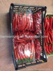 Frozen Red Chilli in VietNam