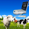 Full Digital Veterinary Portable Ultrasound