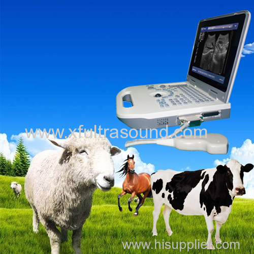 High resolution Vet ultrasound instrument