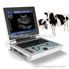 High resolution Veterinary Black and White ultrasound scanner