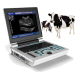 Veterinary Black and White ultrasound scanner