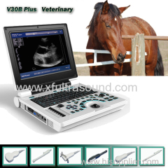 High resolution Veterinary Black and White ultrasound scanner