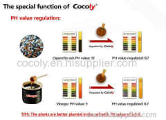 COCOLY15-3-5 NPK water-soluble fertilizer