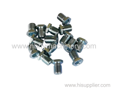 Supply High Precision Bolt Turning Part